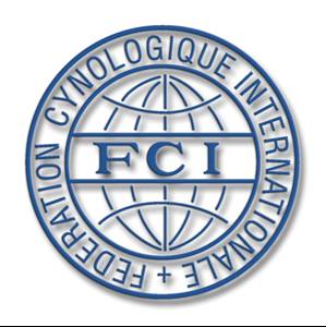 Imágen logo FCI